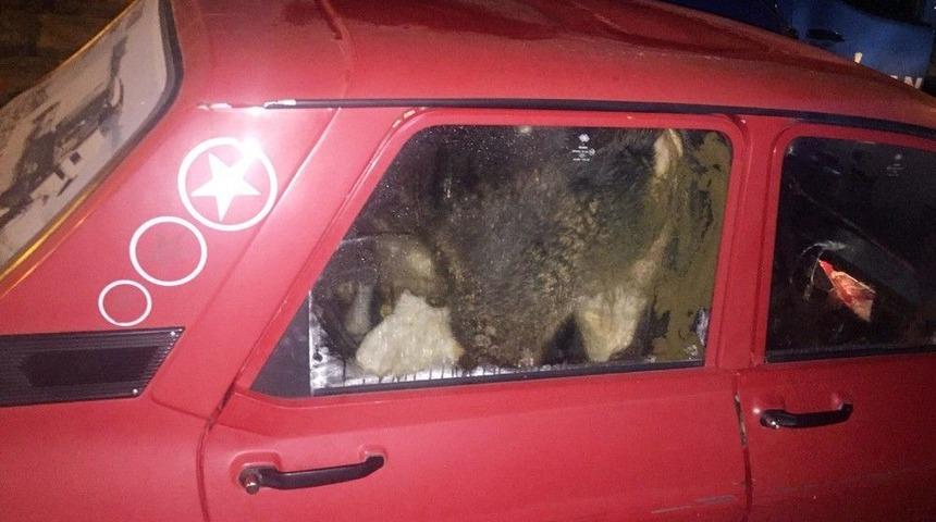 &Ccedil;ubuk&rsquo;ta Hayvan Hırsızı 2 Kişi Tutuklandı