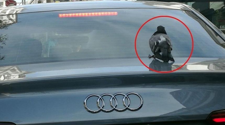 G&uuml;vercinin &rsquo;l&uuml;ks&rsquo; Yolculuğu