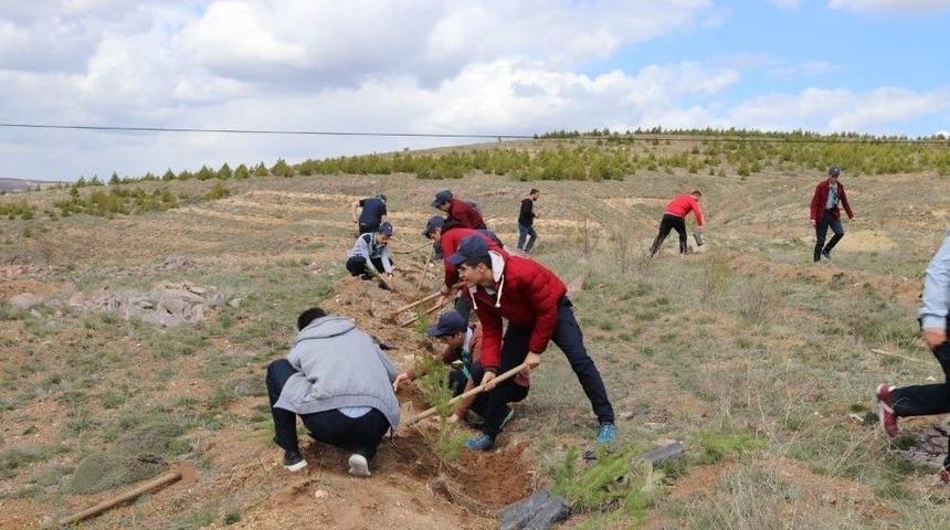 Sorgun&rsquo;da Afrin Şehitleri İ&ccedil;in Fidan Dikildi