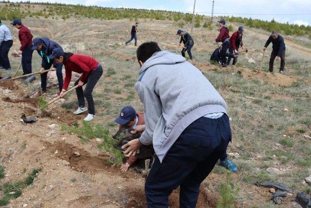 Sorgun’da Afrin Şehitleri İçin Fidan Dikildi