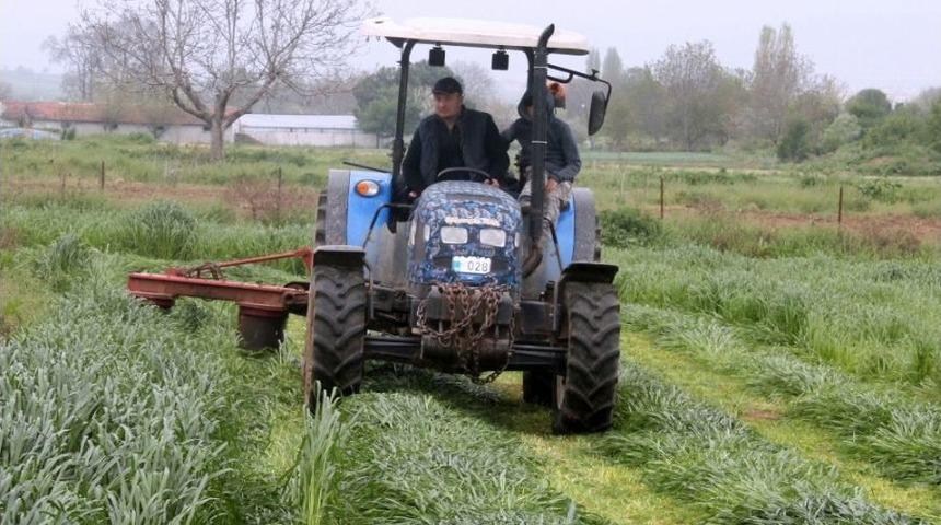Mera Sıkıntısı Hayvancıyı Zora Sokuyor