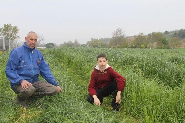 Mera Sıkıntısı Hayvancıyı Zora Sokuyor