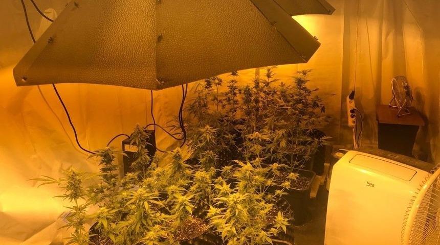 Jandarma G&ouml;zlerine İnanamadı: Apartman Dairesinde &rsquo;uyuşturucu Serası&rsquo;