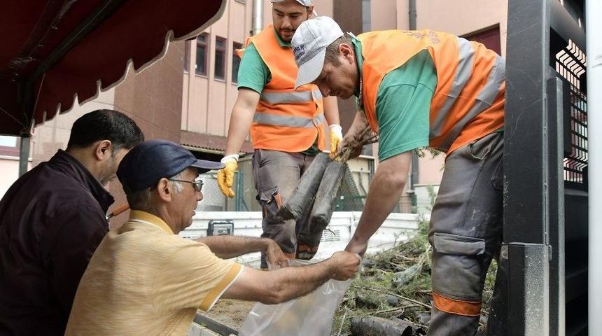 Mamak Belediyesinden &Uuml;cretsiz Fidan