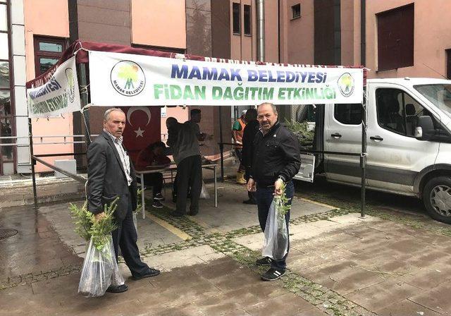 Mamak Belediyesinden Ücretsiz Fidan