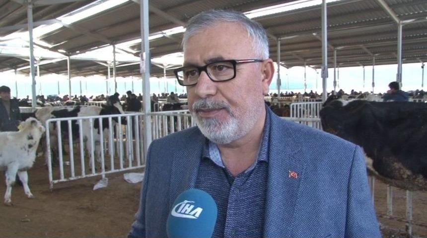 Aksaray&rsquo;da &lsquo;hayvan Oteli&rsquo;ne T&uuml;ccarlardan B&uuml;y&uuml;k İlgi