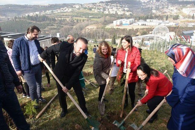 Cephanelik Bölgesine Fidan Dikildi