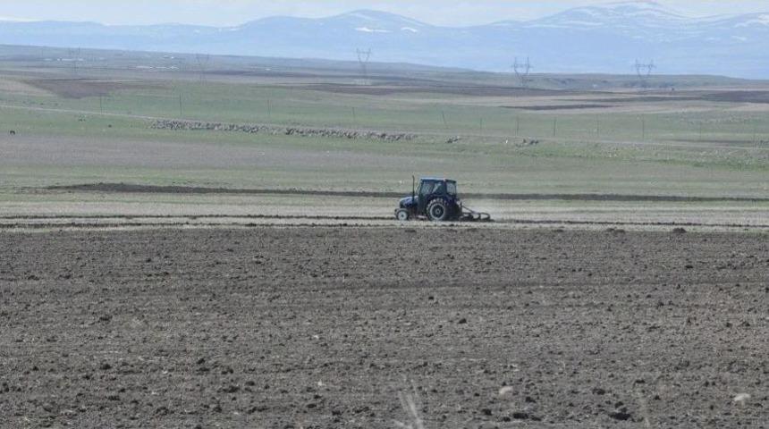 Kars&rsquo;ta Tarla S&uuml;r&uuml;m&uuml; Başladı