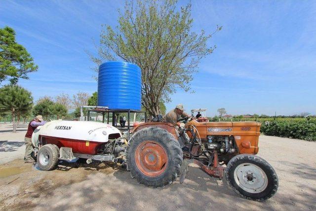 Saruhanlı Belediyesinden Çiftçiye İlaç Suyu Desteği