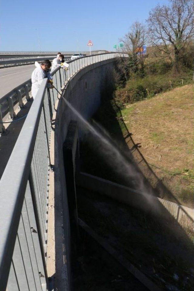 Eyüpsultan ’da İlaçlama Çalışmaları Devam Ediyor