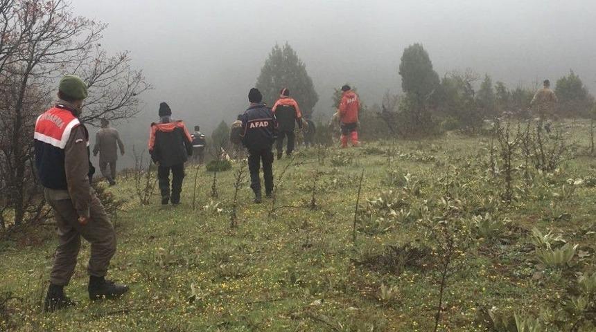 K&ouml;pek Ke&ccedil;ileri Ahıra Geri Getirince, &Ccedil;obanın Kaybolduğu Ortaya &Ccedil;ıktı