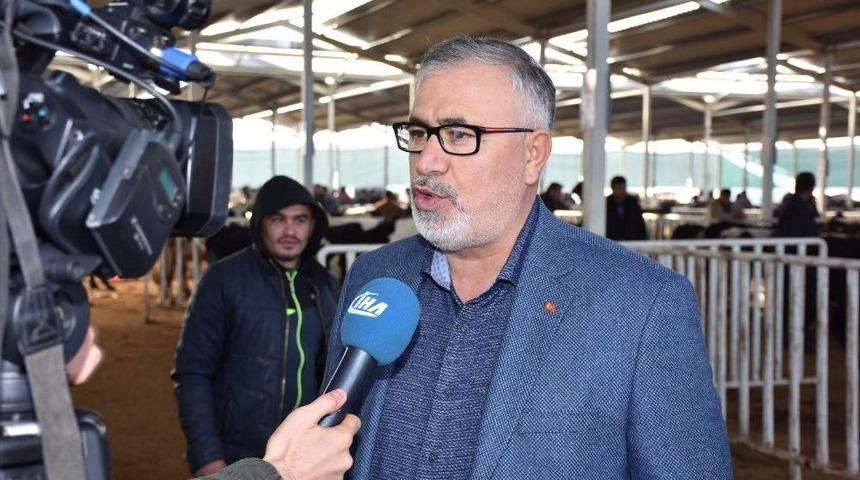 Aksaray&rsquo;a 60 Bin Hayvanlık Dev Tesis