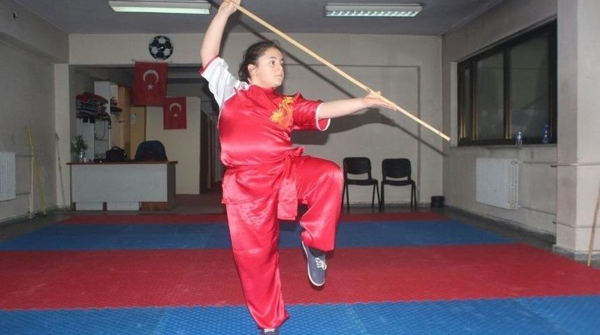 D&ouml;v&uuml;ş Sporlarında Yeni Akımın Adı: Wushu Taolu