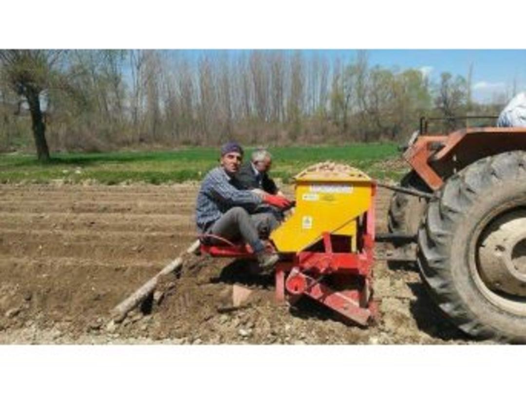 Patates Üreticisi Umutsuz