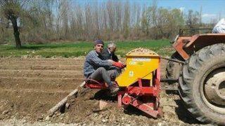 Patates Üreticisi Umutsuz