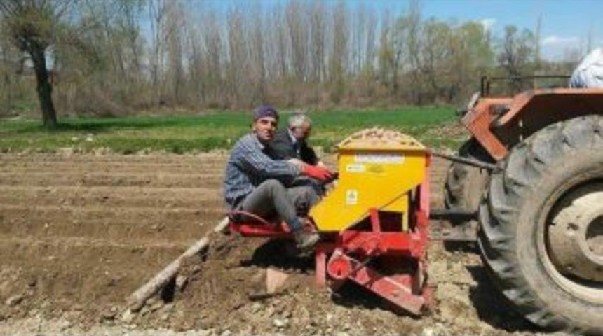 Patates Üreticisi Umutsuz