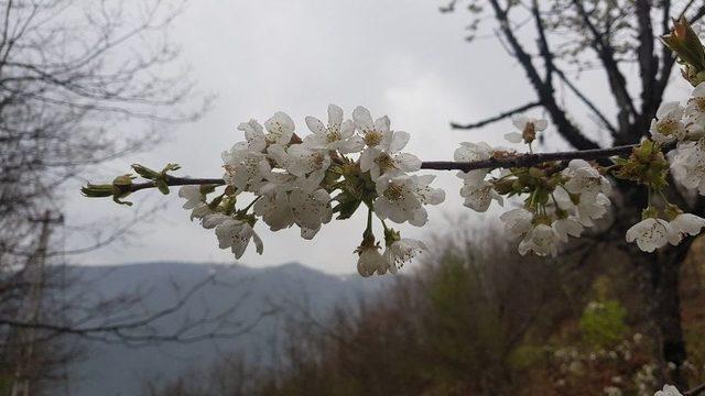 Uludağ’ın Arka Yüzü Büyülüyor