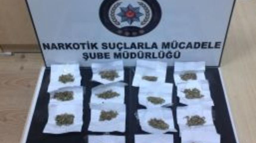 Kars&rsquo;ta, Bonzai Ele Ge&ccedil;irildi