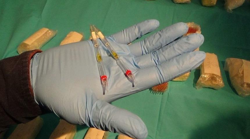 İstanbul’da Rekor Seviyede Kobra Yılanı Zehri Ele Geçirildi