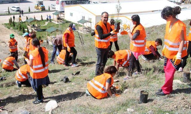 Çankaya Belediyesi Görevlileri Öğrencilerle Fidan Dikti