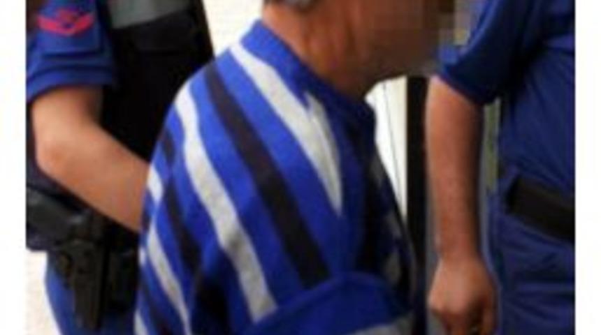 Ormandan Odun Hırsızlığına G&ouml;zaltı