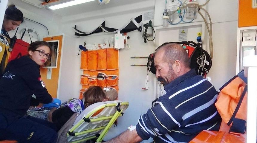 Ara&ccedil;ların G&uuml;r&uuml;lt&uuml;s&uuml;nden &Uuml;rken At Ortalığı Birbirine Kattı: 3 Yaralı