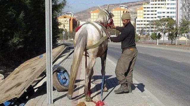 Araçların Gürültüsünden Ürken At Ortalığı Birbirine Kattı: 3 Yaralı