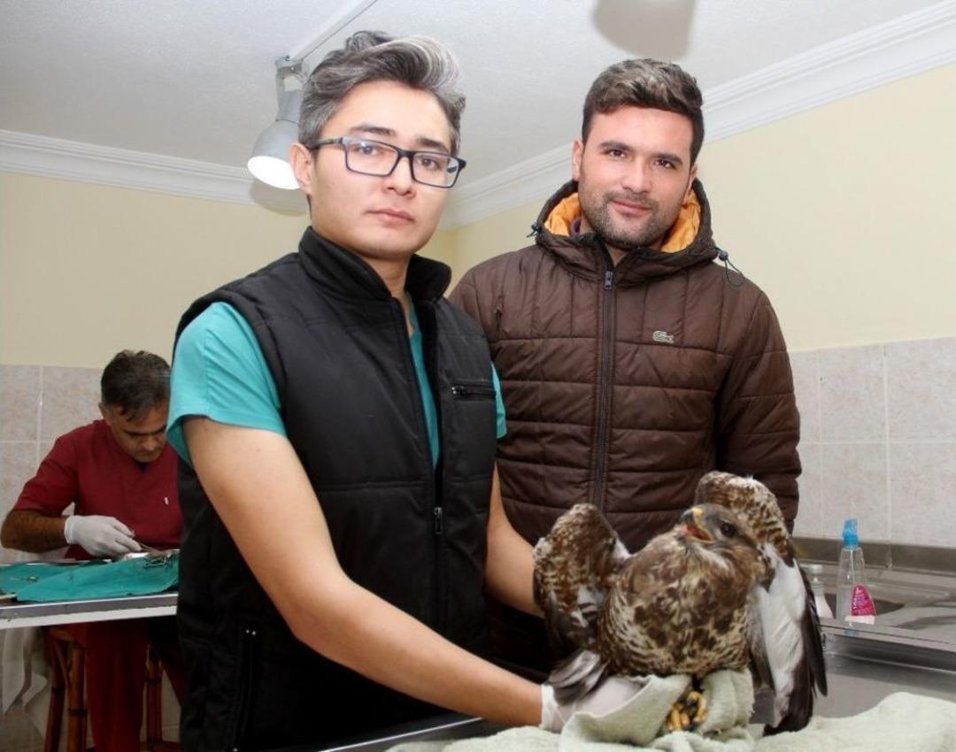 A&ccedil; Kalan Şahine Vatandaş Şefkati