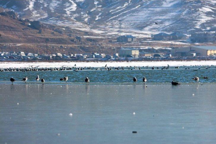 Van’ın Sıhke Gölü Buz Tuttu G3