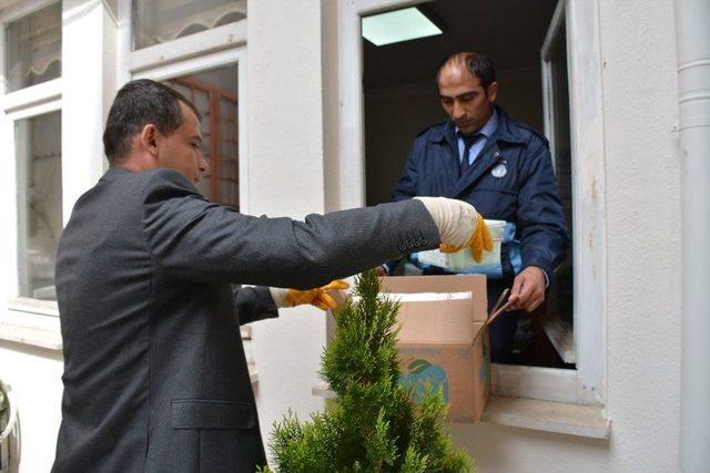 Tokat’ta Ebabil Kuşu Görüldü