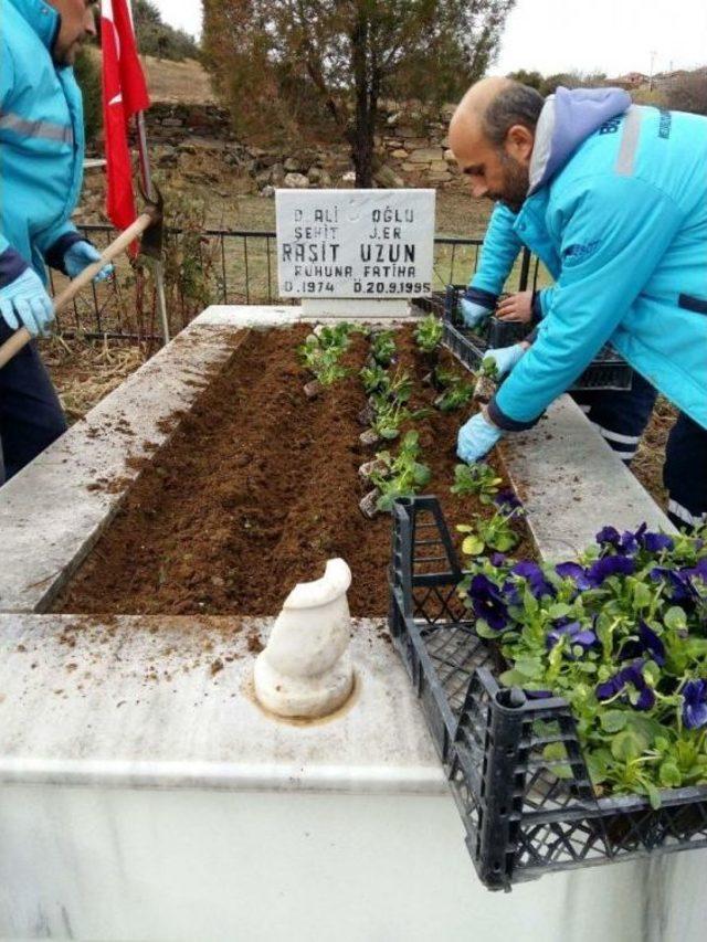 Kul’daki Şehit Mezarları Bakıma Alındı