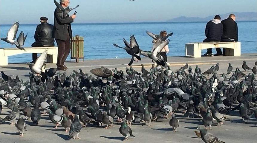 Ak&ccedil;akoca&rsquo;da Bahar Havası