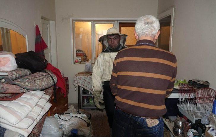 Kuşadası’nda Arı İstilası G3