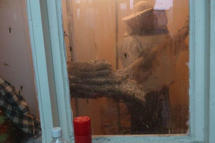 Kuşadası’nda Arı İstilası G5