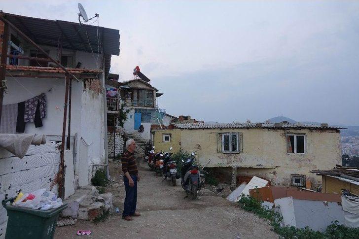 Kuşadası’nda Arı İstilası G1