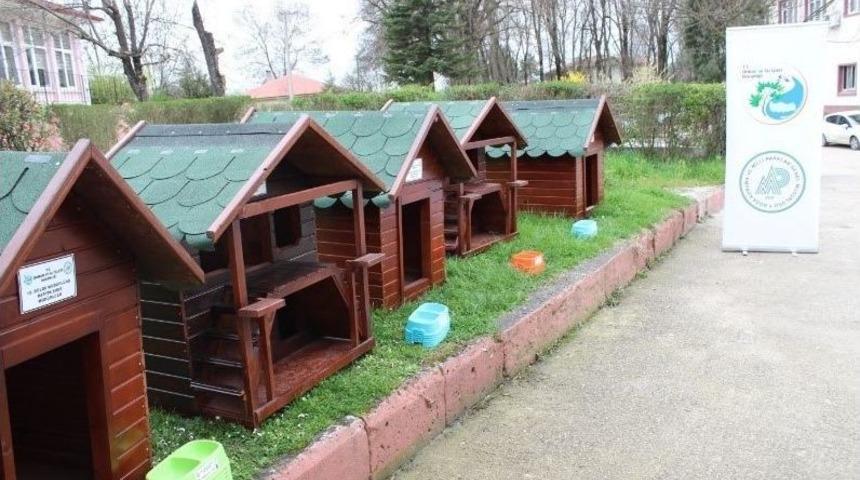 Kedi Ve K&ouml;pek Evleri Sahiplerine Ulaştı