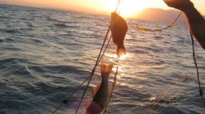 Eğirdir G&ouml;l&uuml;&rsquo;nden Avlanan Balıklar Temiz &Ccedil;ıktı