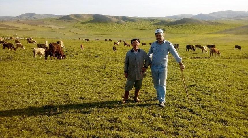 Yağışlar Yozgatlı Besicilerin Yüzünü Güldürdü