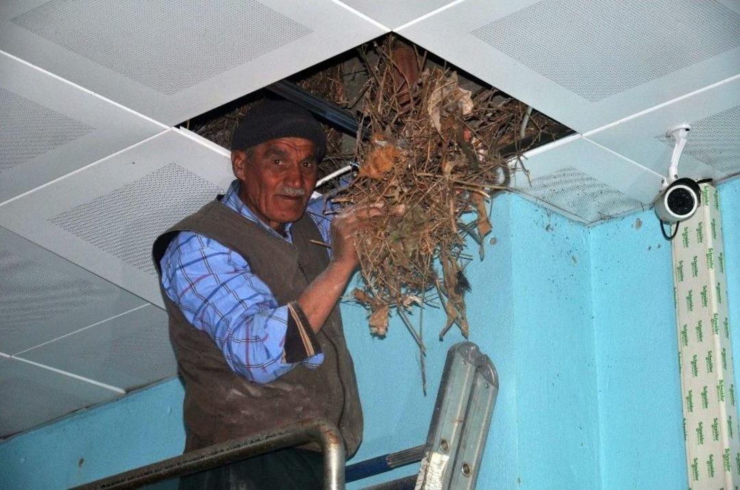 2 Milyon Tl&rsquo;lik Tesisi Kargalar İstila Etti