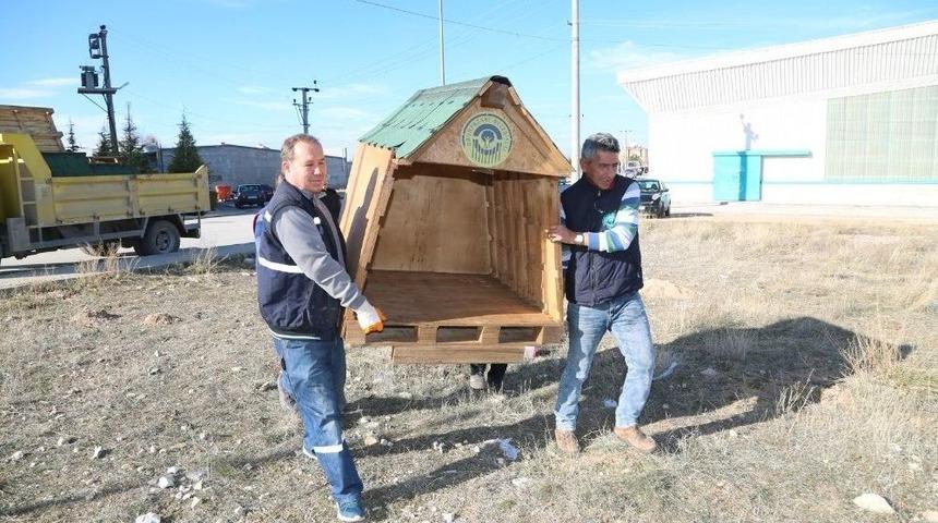 Odunpazarı Belediyesi Sokak Hayvanlarını Unutmadı