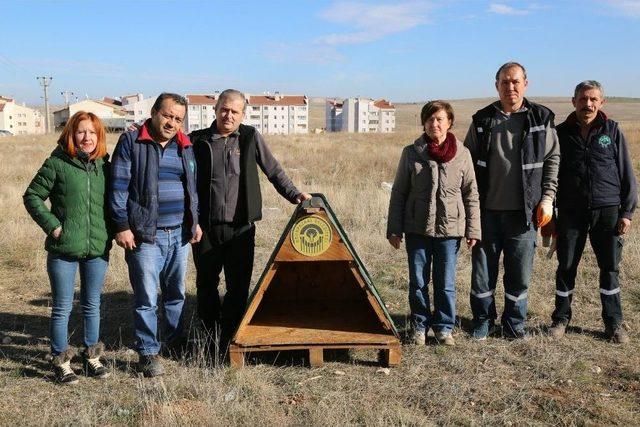 Odunpazarı Belediyesi Sokak Hayvanlarını Unutmadı