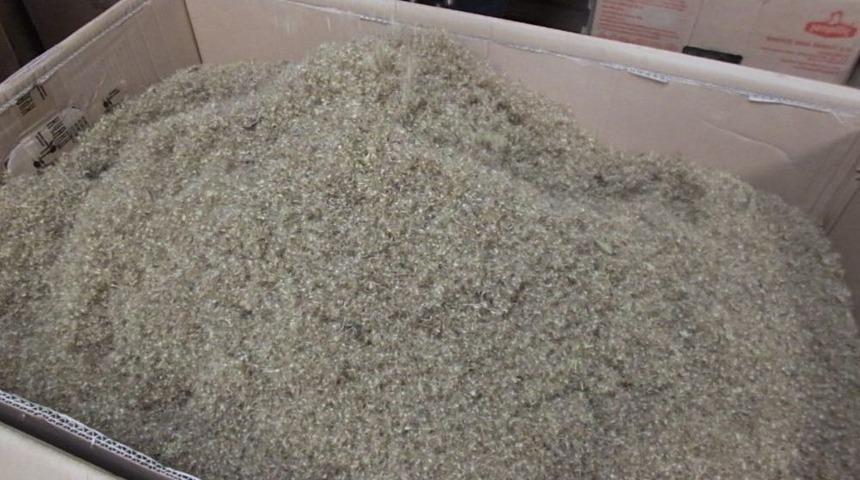 Burhaniye Stevia &Uuml;retim Merkezi Oldu