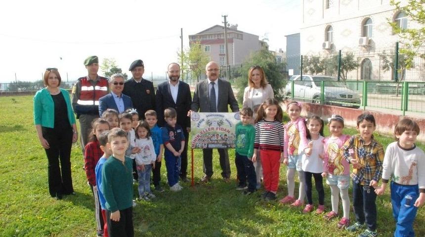 Zeytin Dalı Harekatı&rsquo;nda Şehit Olan Askerler İ&ccedil;in Zeytin Fidanı Diktiler