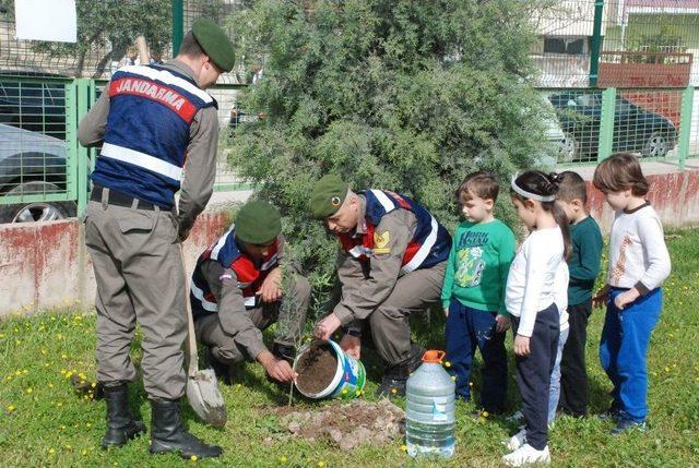 Zeytin Dalı Harekatı&rsquo;nda Şehit Olan Askerler İ&ccedil;in Zeytin Fidanı Diktiler 3
