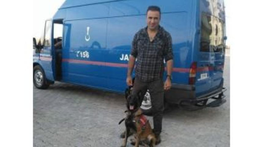 Yol Yapımı Sırasında Unutulan Dinamit Patladı 1 Asker Şehit Oldu