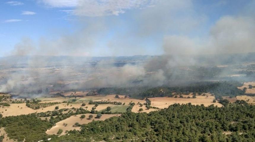 &Ccedil;anakkale&rsquo;de Orman Yangını