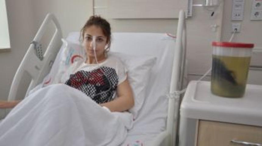 Midesinden 1.5 Kilogram Ağırlığında Sa&ccedil; Yumağı &Ccedil;ıktı