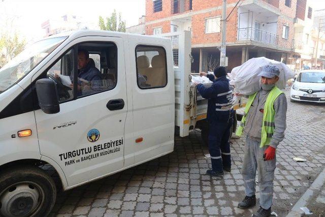 Budanan Ağaçlardan Çıkan Odunlar İhtiyaç Sahiplerini Isıtıyor