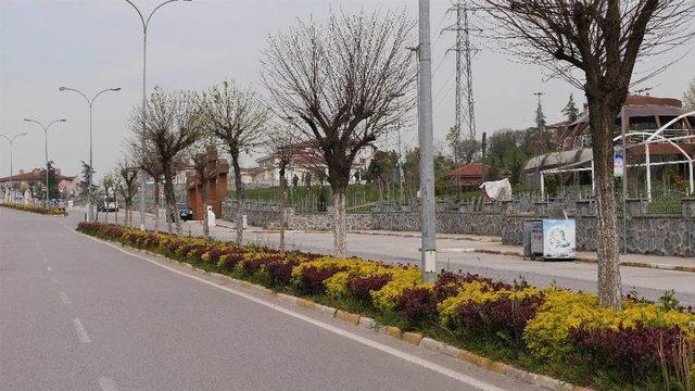 Başiskele Yeşil Alan Tasarımlarıyla Renkleniyor