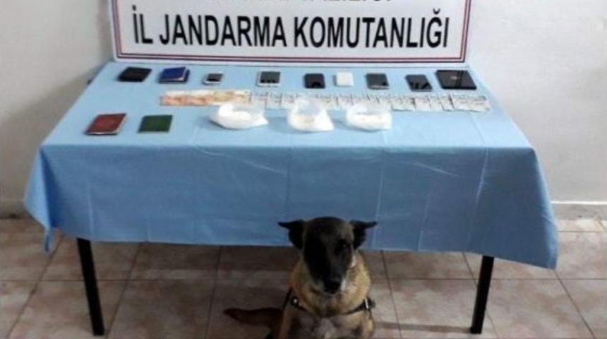 Jandarmadan Uyuşturucu Operasyonu